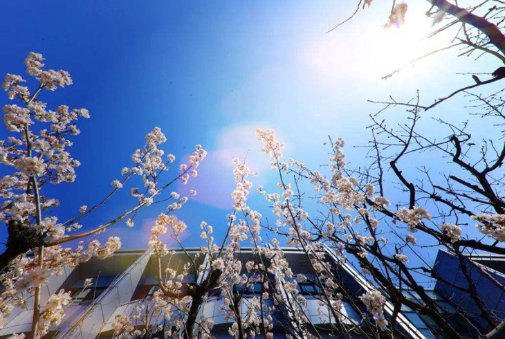 如何關(guān)閉燃氣壁掛爐的暖氣功能