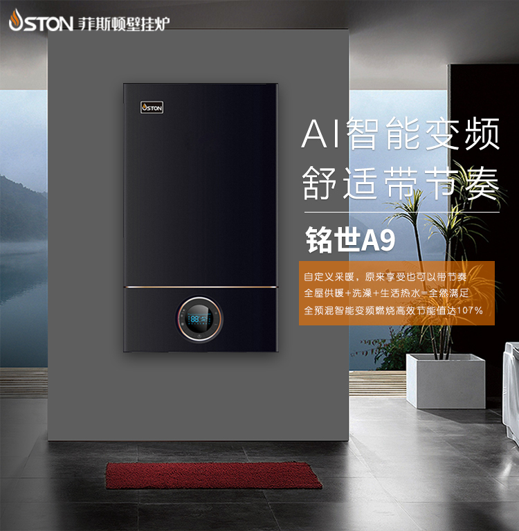 燃氣壁掛爐 燃氣壁掛爐