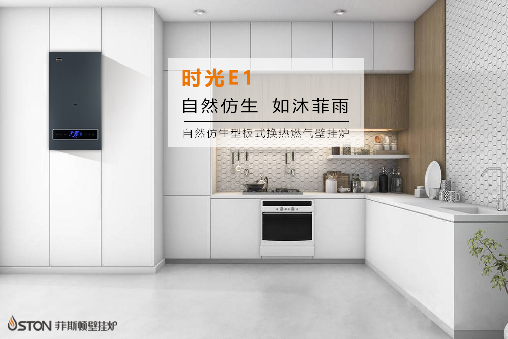 自然仿生型板式換熱燃?xì)獗趻鞝t